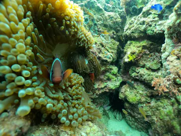 武藤潜水に投稿された画像（2024/3/14）