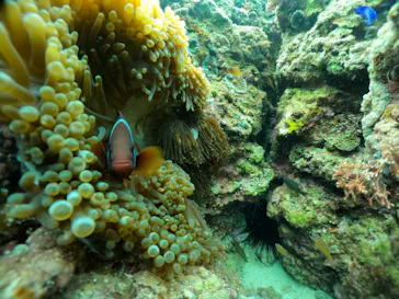 武藤潜水に投稿された画像（2024/3/14）