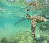 初心者専門宮古島シュノーケリングツアーに投稿された画像（2024/3/14）