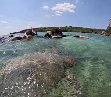 初心者専門宮古島シュノーケリングツアーに投稿された画像（2024/3/14）