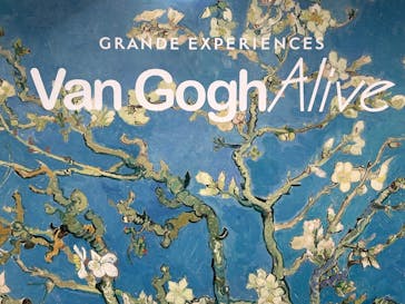 ゴッホ・アライブに投稿された画像（2024/3/14）