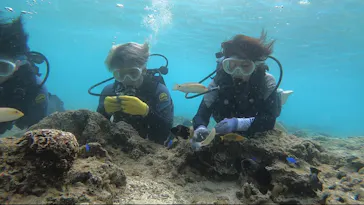 武藤潜水に投稿された画像（2024/3/14）