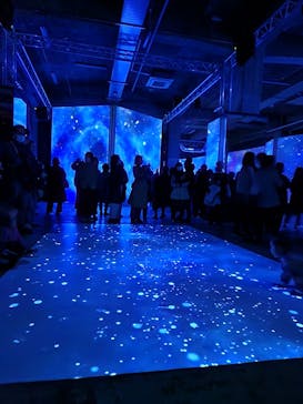 ゴッホ・アライブに投稿された画像（2024/3/14）