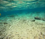 沖縄マリンサービス碧に投稿された画像（2024/3/14）