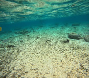 沖縄マリンサービス碧に投稿された画像（2024/3/14）