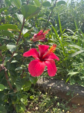 宮古島 ADVENTURE PiPi（ミヤコジマ アドベンチャー ピピ）に投稿された画像（2024/3/14）