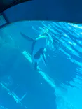 名古屋港水族館に投稿された画像（2024/3/14）