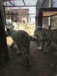 宇都宮動物園に投稿された画像（2024/3/14）