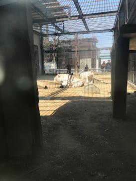 宇都宮動物園に投稿された画像（2024/3/14）
