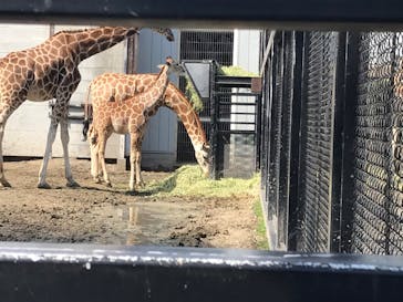 宇都宮動物園に投稿された画像（2024/3/14）