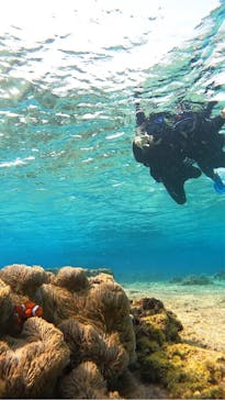 宮古島 ADVENTURE PiPi（ミヤコジマ アドベンチャー ピピ）に投稿された画像（2024/3/14）