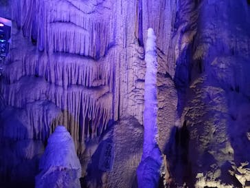 あぶくま洞に投稿された画像（2024/3/14）