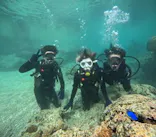 沖縄マリンサービス碧に投稿された画像（2024/3/14）