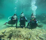 沖縄マリンサービス碧に投稿された画像（2024/3/14）