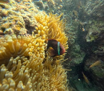 沖縄マリンサービス碧に投稿された画像（2024/3/14）