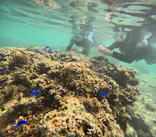 沖縄マリンサービス碧に投稿された画像（2024/3/14）