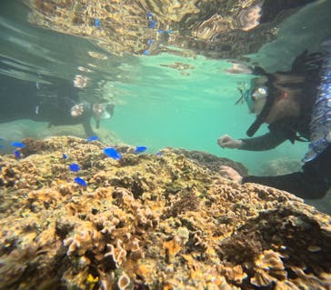 沖縄マリンサービス碧に投稿された画像（2024/3/14）