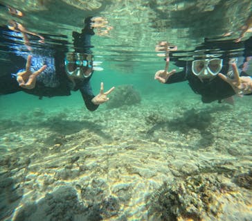 沖縄マリンサービス碧に投稿された画像（2024/3/14）