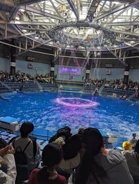 マクセル アクアパーク品川に投稿された画像（2024/3/14）