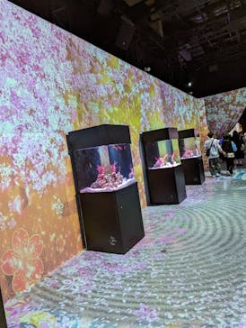 マクセル アクアパーク品川に投稿された画像（2024/3/14）