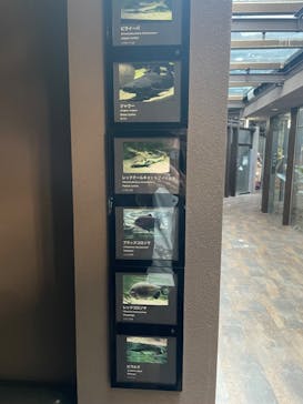 カワスイ 川崎⽔族館に投稿された画像（2024/3/14）