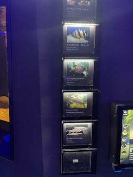 カワスイ 川崎⽔族館に投稿された画像（2024/3/14）