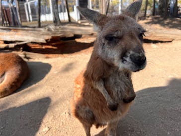神戸どうぶつ王国に投稿された画像（2024/3/14）