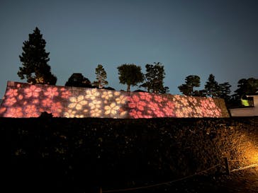 NAKED meets 二条城 2025 観月に投稿された画像（2024/3/14）