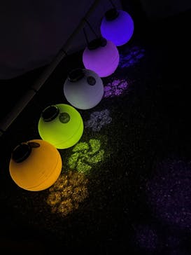 NAKED meets 二条城 2025 観月に投稿された画像（2024/3/14）