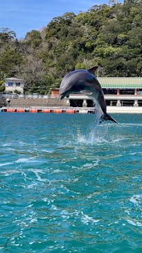 下田海中水族館に投稿された画像（2024/3/14）