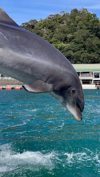 下田海中水族館に投稿された画像（2024/3/14）