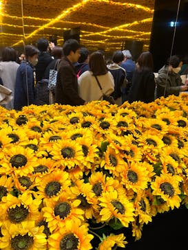 ゴッホ・アライブに投稿された画像（2024/3/14）