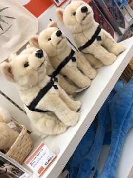 国立科学博物館に投稿された画像（2024/3/14）