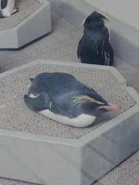 AOAO SAPPOROに投稿された画像（2024/3/14）