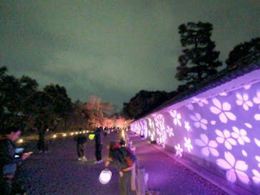 NAKED meets 二条城 2025 観月に投稿された画像（2024/3/14）