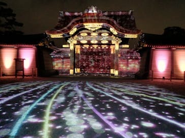 NAKED meets 二条城 2025 観月に投稿された画像（2024/3/14）