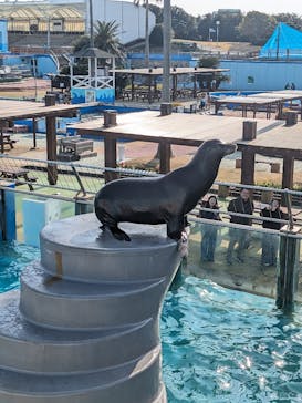 南知多ビーチランド＆南知多おもちゃ王国に投稿された画像（2024/3/14）