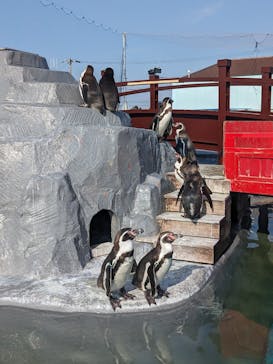 南知多ビーチランド＆南知多おもちゃ王国に投稿された画像（2024/3/14）