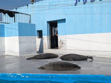 南知多ビーチランド＆南知多おもちゃ王国に投稿された画像（2024/3/14）