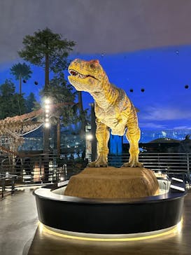 福井県立恐竜博物館に投稿された画像（2024/3/14）