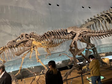 福井県立恐竜博物館に投稿された画像（2024/3/14）