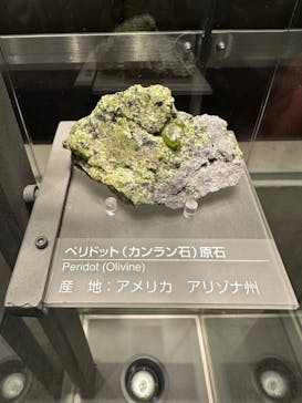 福井県立恐竜博物館に投稿された画像（2024/3/14）