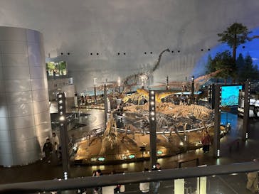 福井県立恐竜博物館に投稿された画像（2024/3/14）