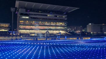 東京メガイルミに投稿された画像（2024/3/14）