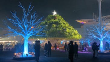 東京メガイルミに投稿された画像（2024/3/14）