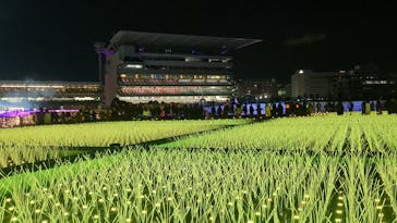 東京メガイルミに投稿された画像（2024/3/14）