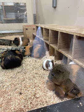 到津の森公園に投稿された画像（2024/3/14）