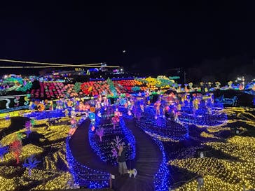 伊豆ぐらんぱる公園に投稿された画像（2024/3/14）