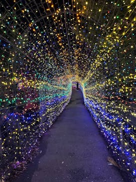 伊豆ぐらんぱる公園に投稿された画像（2024/3/14）