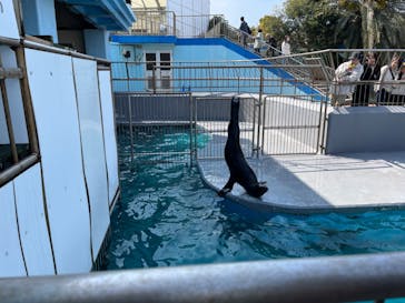 南知多ビーチランド＆南知多おもちゃ王国に投稿された画像（2024/3/14）